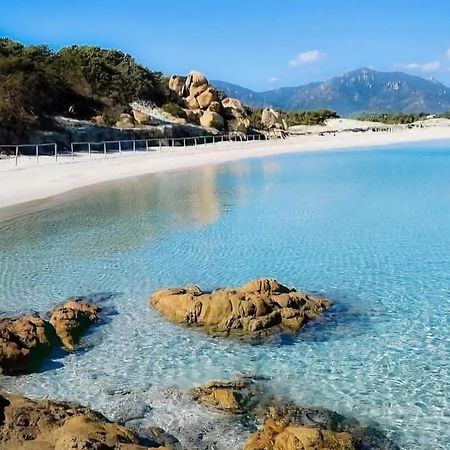 Sun & Beach House Коста Рей Экстерьер фото